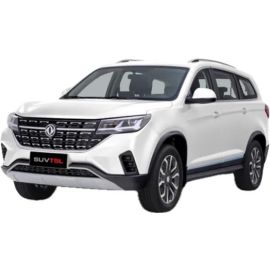 DONGFENG T5 L